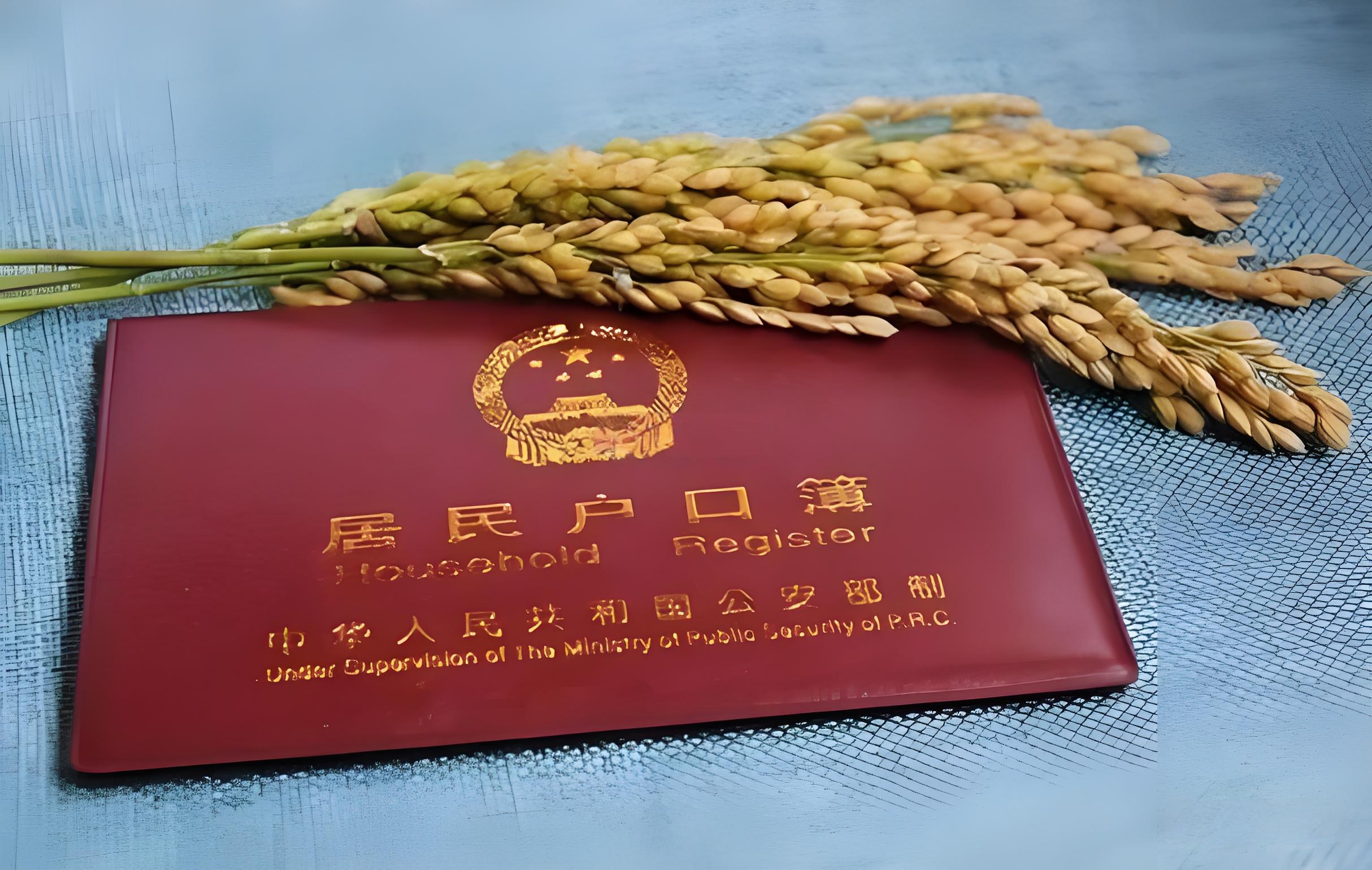 提高北京户口迁移效率的实用建议